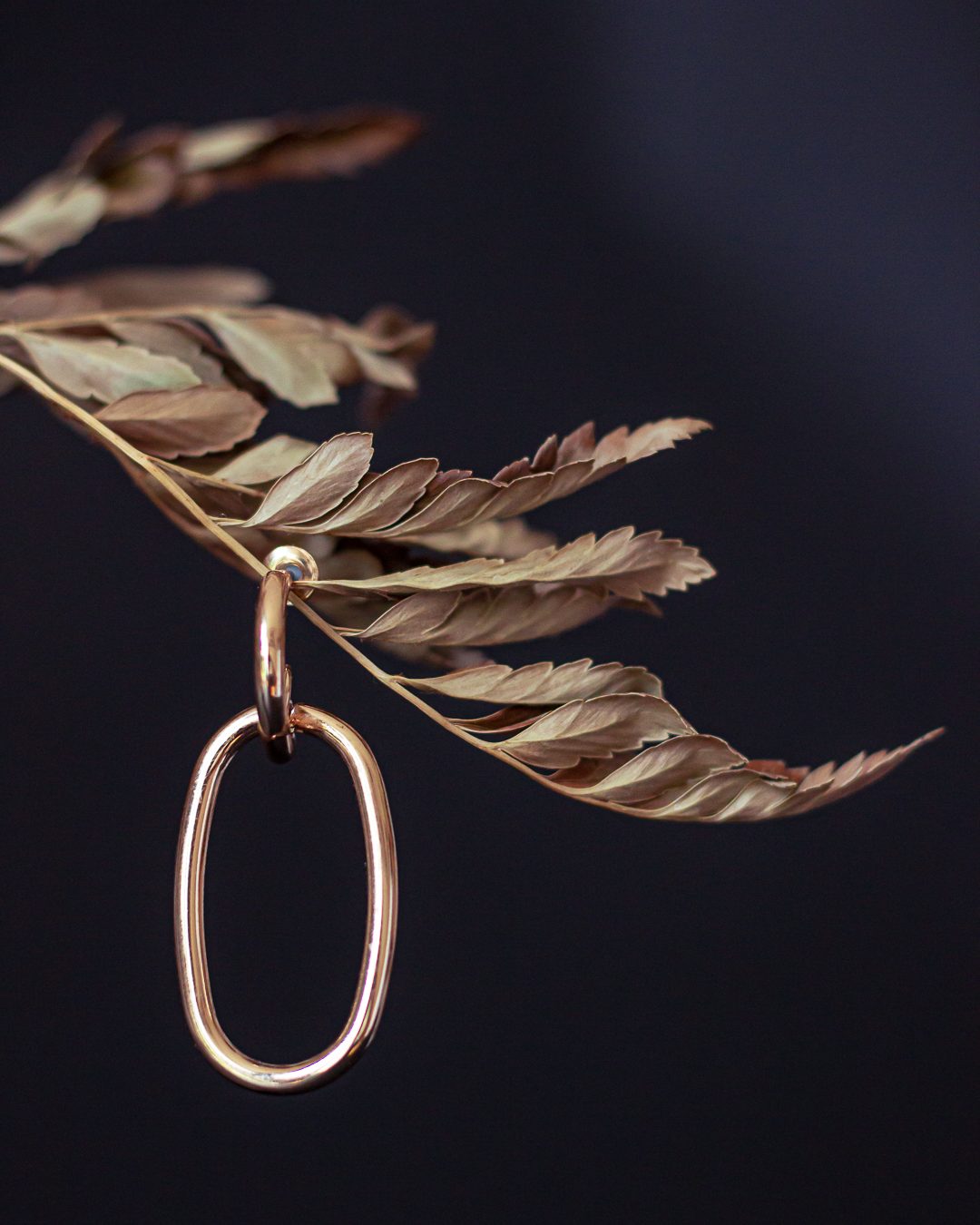 Packshot-bijoux-contemporain-4